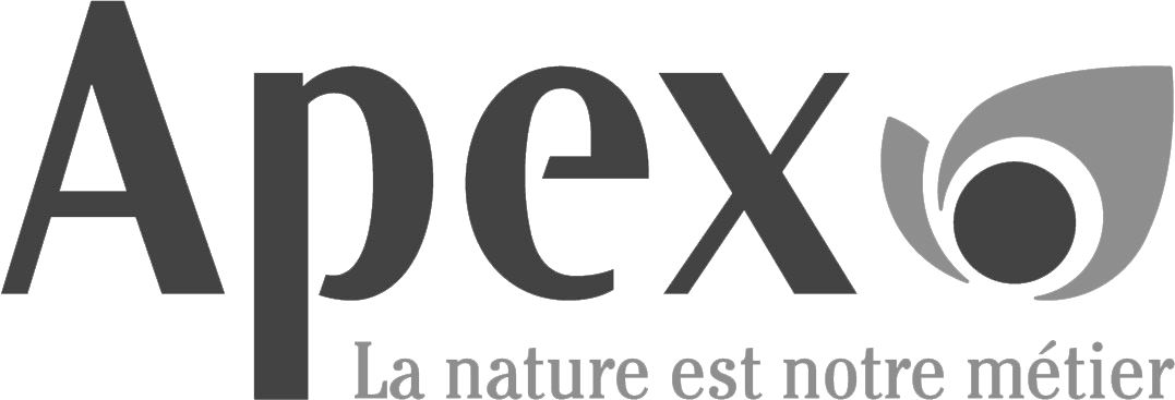 Logo_APEX